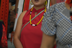 DSC_0309